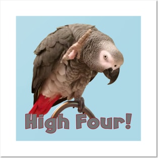 African Grey Parrot Waving High Four Posters and Art